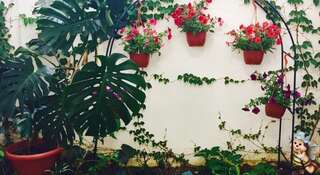 Гостиница Guest House Lika Анапа-5